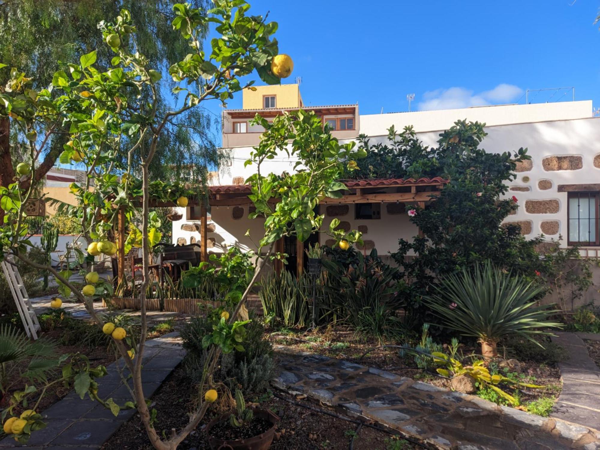 Casa Roberta Fuego Daire Arona  Dış mekan fotoğraf