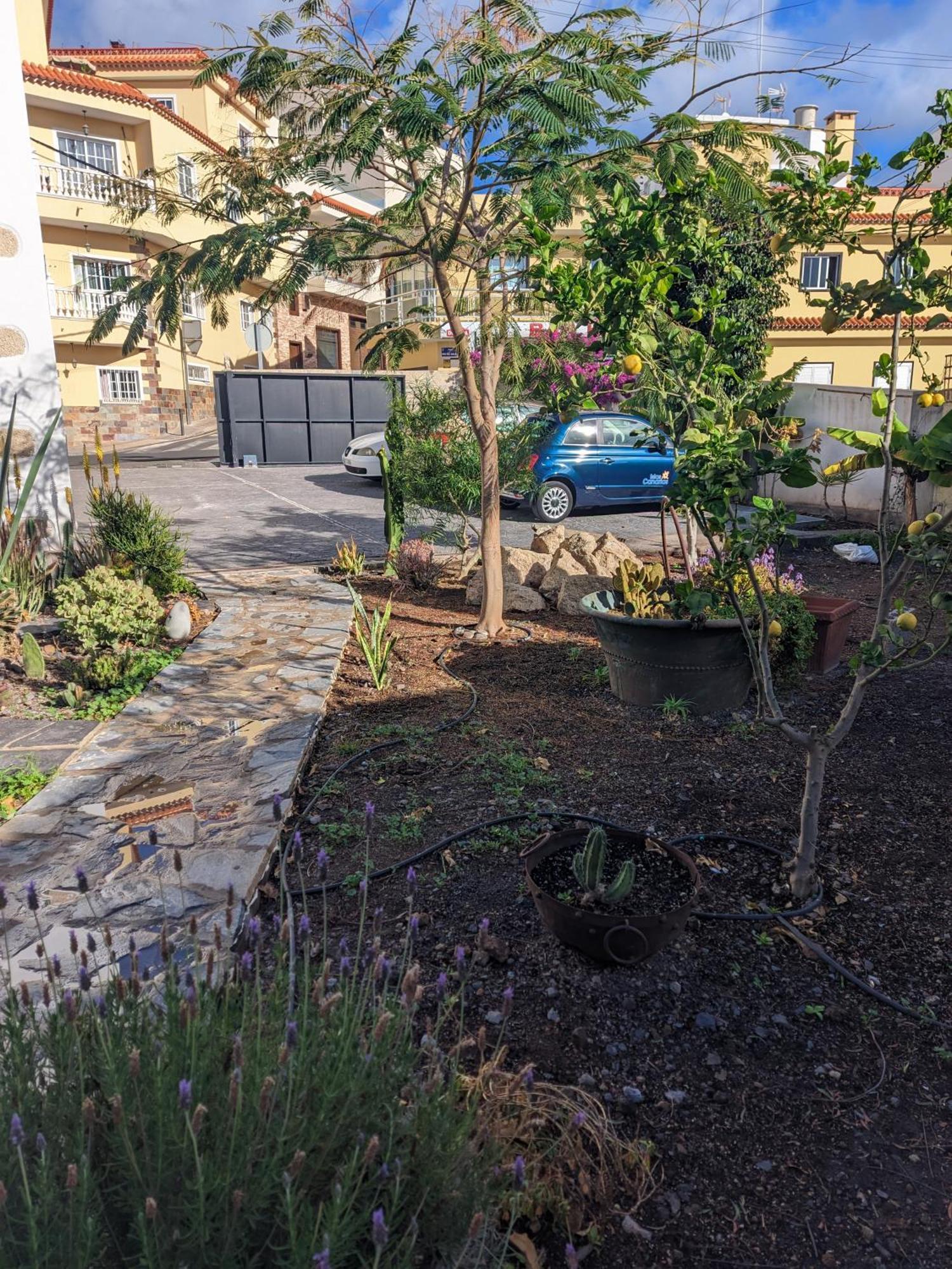 Casa Roberta Fuego Daire Arona  Dış mekan fotoğraf